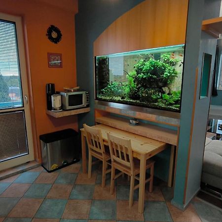 Suk Apartman 24 Suchdol nad Luznici Eksteriør bilde